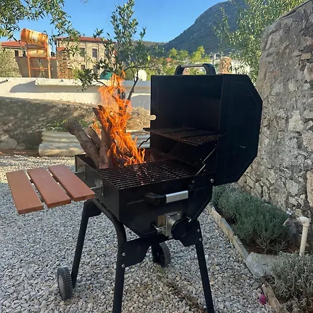 Cesmekoyici No1 Avlulu Tas Ev * Cumali